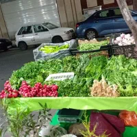چوکات سبزی فروشی