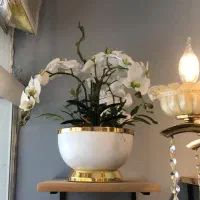 گل و گلدان|گل و گیاه طبیعی|هشتگرد, فاز ۱ مهستان|دیوار