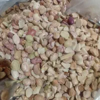 عدس|خوردنی و آشامیدنی|شیراز, تندگویان|دیوار