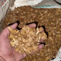 پوست بادام|خدمات باغبانی و درختکاری|نجف‌آباد, یزدانشهر|دیوار