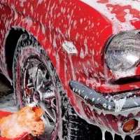 دنبال کارواش با وسایل جهت اجاره یا شراکت هستم