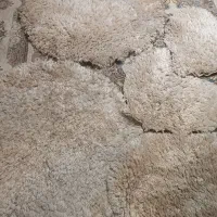 پادری و قالیچه فانتزی