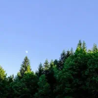 تابلو نقاشی /دنبا.ل ک.ا.ر