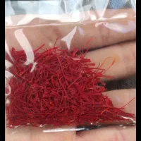 فروش گل زعفران|عمدهفروشی|تربتحیدریه, ترمینال|دیوار