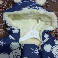 سرهمی داخل بره ای بیرون بارونی