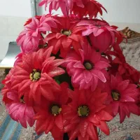 گل مصنوعی|گل مصنوعی|یزد, |دیوار