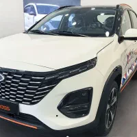 x33 کراس پلاک شده آماده تحویل