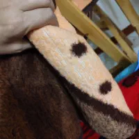 پتو و رختخواب|رختخواب، بالش، پتو|بهشهر, |دیوار