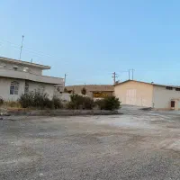 مرغداری-گوشتی-80هزار-قطعه-ایی