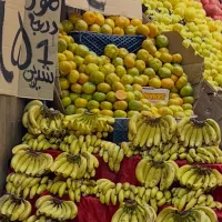 بارچین میوه