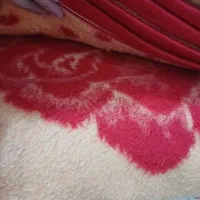 ۲ عدد پتو یکنفره