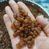 کشمش زرد و طلایی|خوردنی و آشامیدنی|شیروان (خراسان), |دیوار