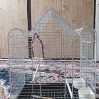 قفس پرنده سالم