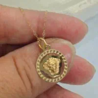 پلاک طلا گم شده