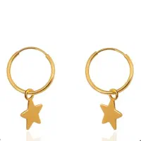 یک لنگه گوشواره گم کردم