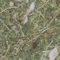 کاه عدس و انواع خوراک دام