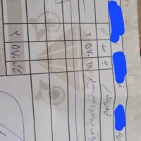 زنجیر و پلاک پروانه