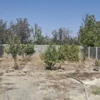 فروش باغ