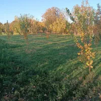 باغچه الوان|فروش دفتر صنعتی، کشاورزی، تجاری|نوشین شهر, |دیوار