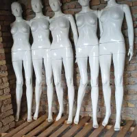 دو مدل مانکن