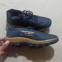 کفش مردانه نو نو|کیف، کفش، کمربند|شیراز, محراب|دیوار