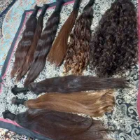 ارزون کوتاه نکن