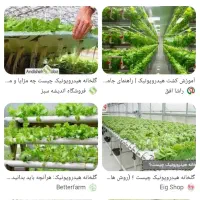 زمین-گلخونه-2-هکتار