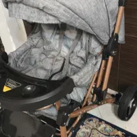 کالسکه در حد نویه نوو دلیجان