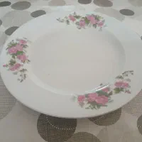 بشقاب غذاخوری گل قرمز آلمانی ۴ دست