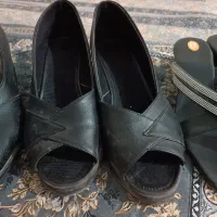 کفش زنانه|کیف، کفش، کمربند|نهاوند, |دیوار