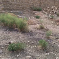 زمین ۳۲۰متر لب خیابون درجزین|فروش زمین و ملک کلنگی|مهدی شهر, |دیوار