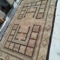 فرش شیش متری|فرش|بروجرد, |دیوار