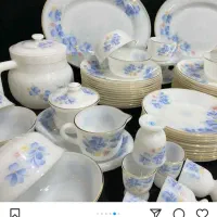 سرویس آرکوپال چینی آمریکایی