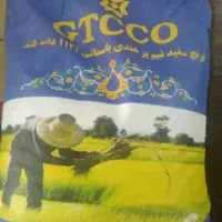 برنج جی تی سی