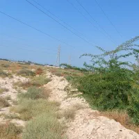 بیست-پنچ-هزارمتر-زمین-فروشی