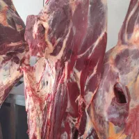 ب یک قصاب تمام وقت ماهر