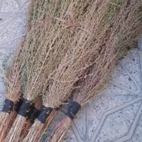 جارو محلی
