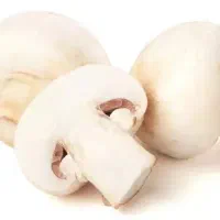 قارچ دکمه ای با کیفیت