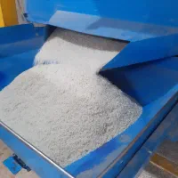 سردانه و نیم دانه هاشمی