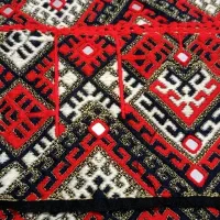 دوچگراینه هستم