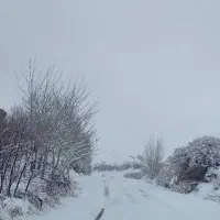 تور طبیعت گردی