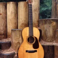 آموزش گیتار مخصوص مبتدی ها ماهانه ۷۵۰