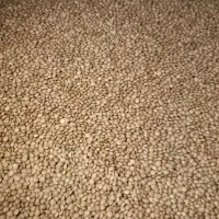 حبوبات به قیمت عمده|خوردنی و آشامیدنی|بومهن, |دیوار