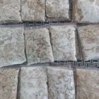 میگو پاک شده|خوردنی و آشامیدنی|گمیشان, |دیوار