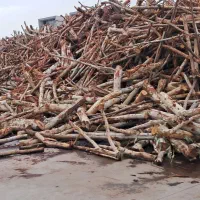 چوب|خدمات باغبانی و درختکاری|شوش, |دیوار