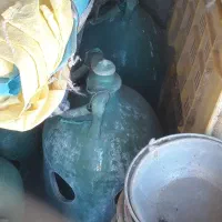 کبوتر پرشی|پرنده|هشتگرد, هشتگرد قدیم|دیوار