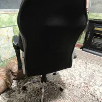 صندلی چرخدار|صندلی و نیمکت|زاهدان, |دیوار