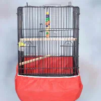 قفس کاسکو یا عروس هلندی|لوازم جانبی حیوانات|تولم شهر, |دیوار