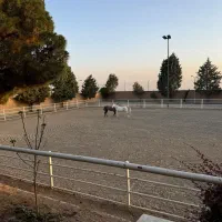 پانسیون و آموزش سوارکاری|اسب و تجهیزات اسب‌سواری|کوهسار (البرز), |دیوار