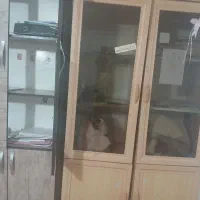 لوازم خانگی|جاکفشی، کمد، دراور|اسفراین, |دیوار